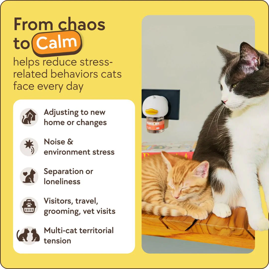 Cats Calming Diffuser Kit - Image 5