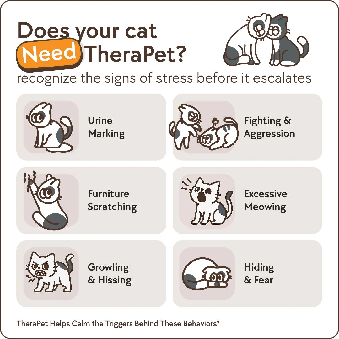 TheraPet Cats Refills - Image 3