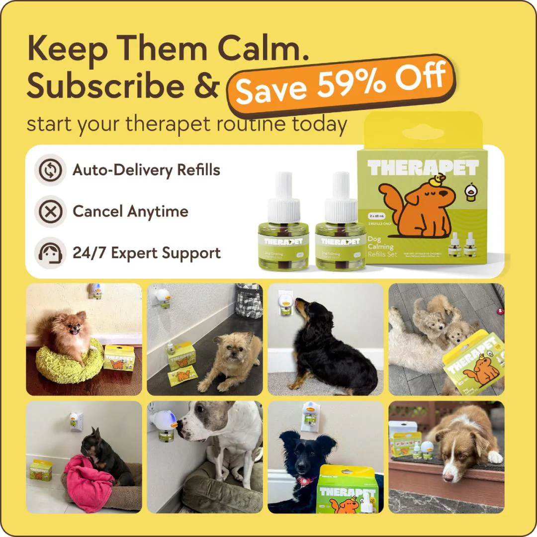 Dogs Calming Diffuser Kit - Image 10