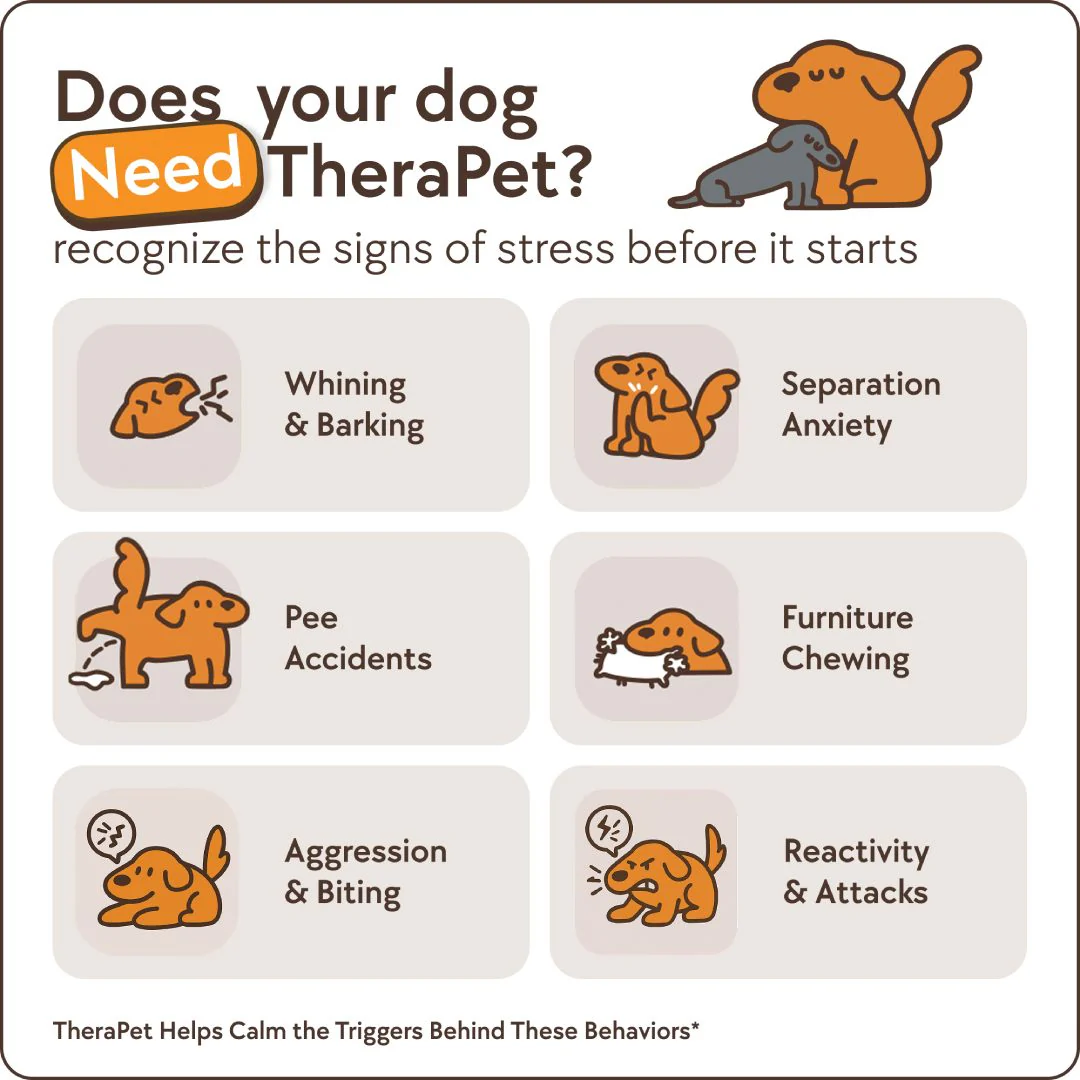 Dogs Calming Diffuser Kit - Image 3