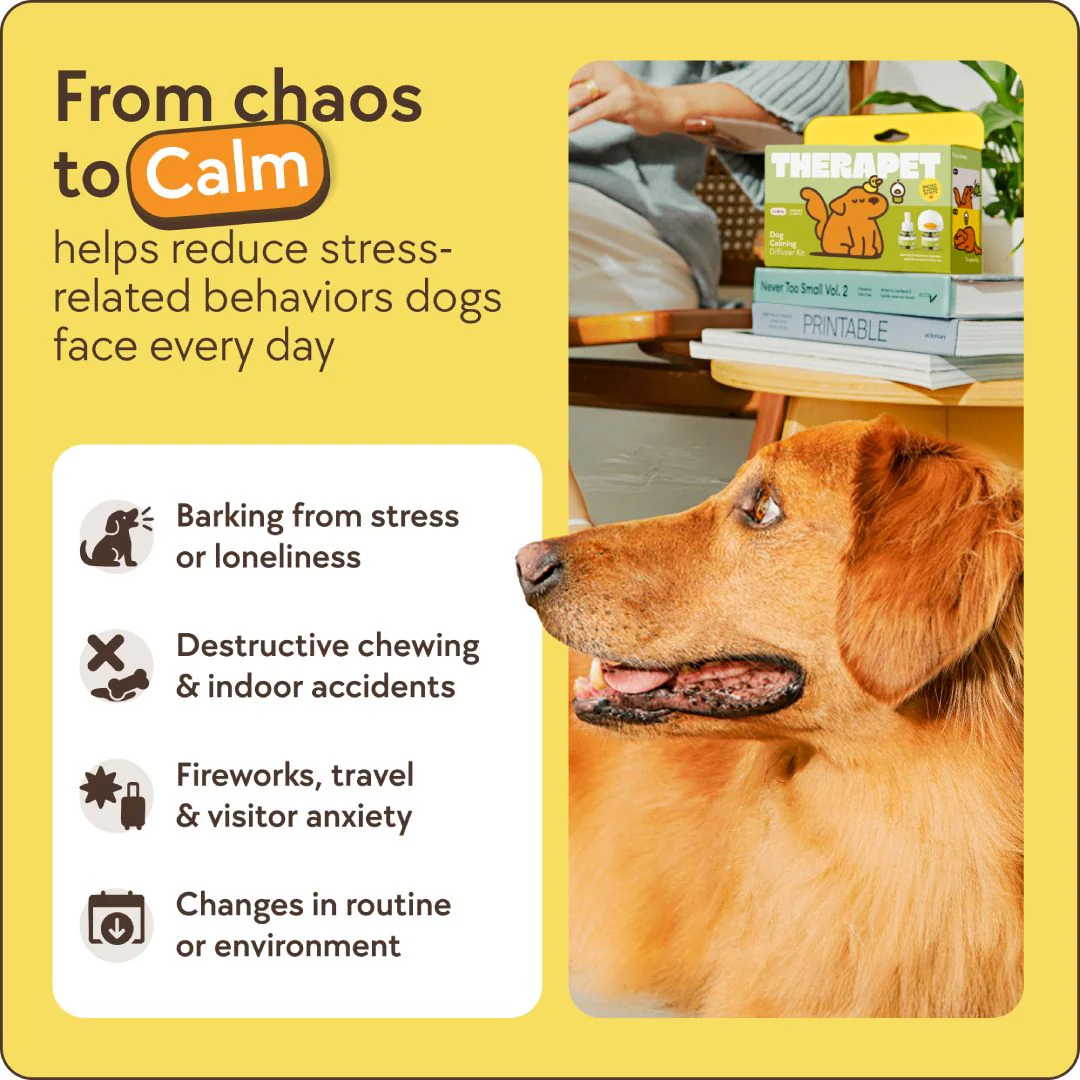 Dogs Calming Diffuser Kit - Image 4