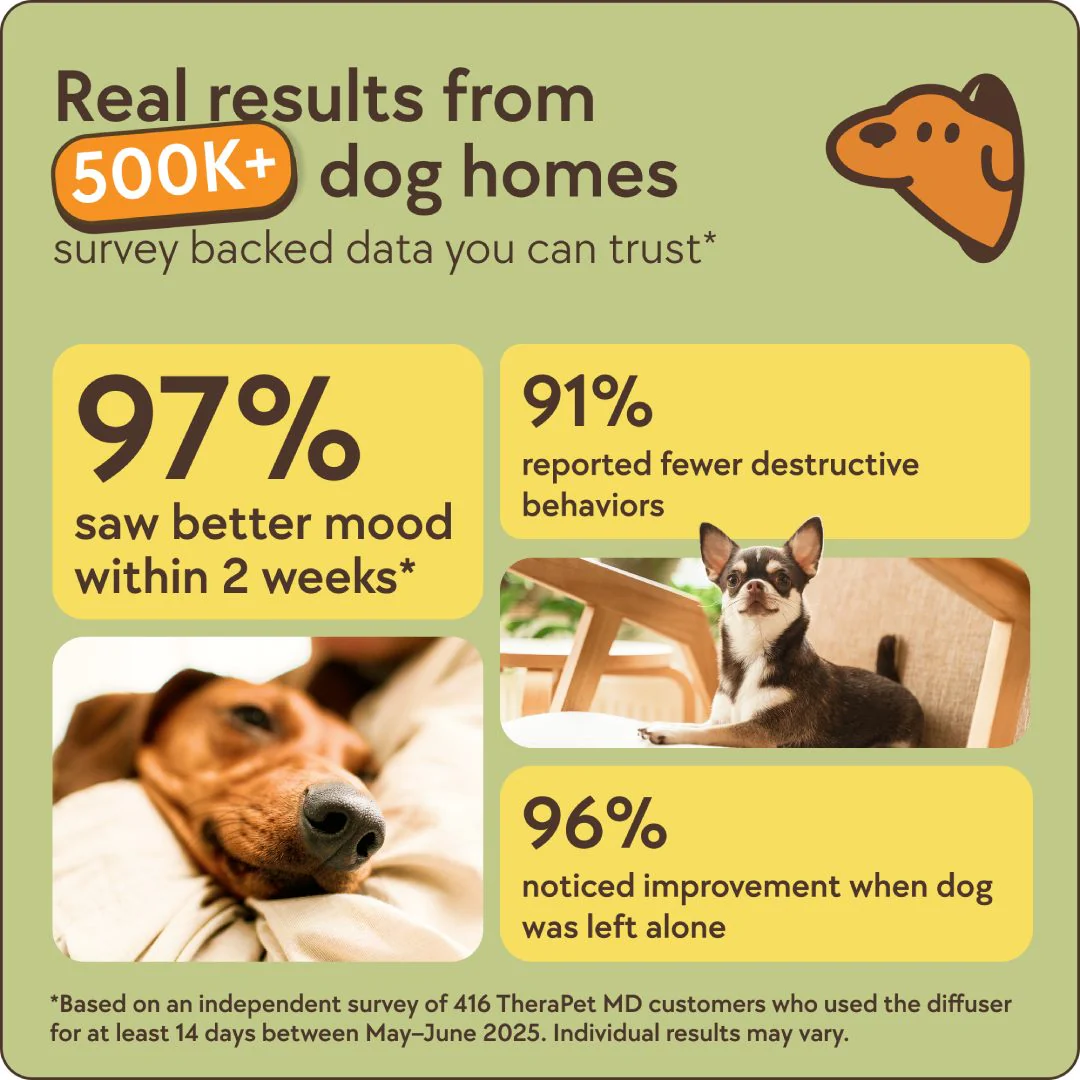 Dogs Calming Diffuser Kit - Image 6